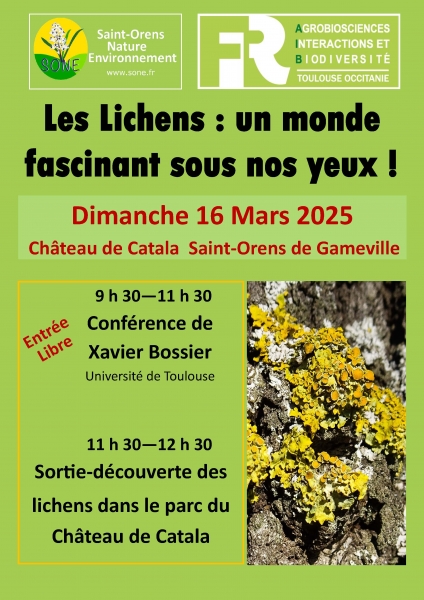 affiche_lichens